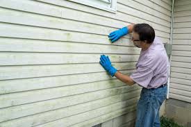 Best Aluminum Siding Installation  in Shelbina, MO